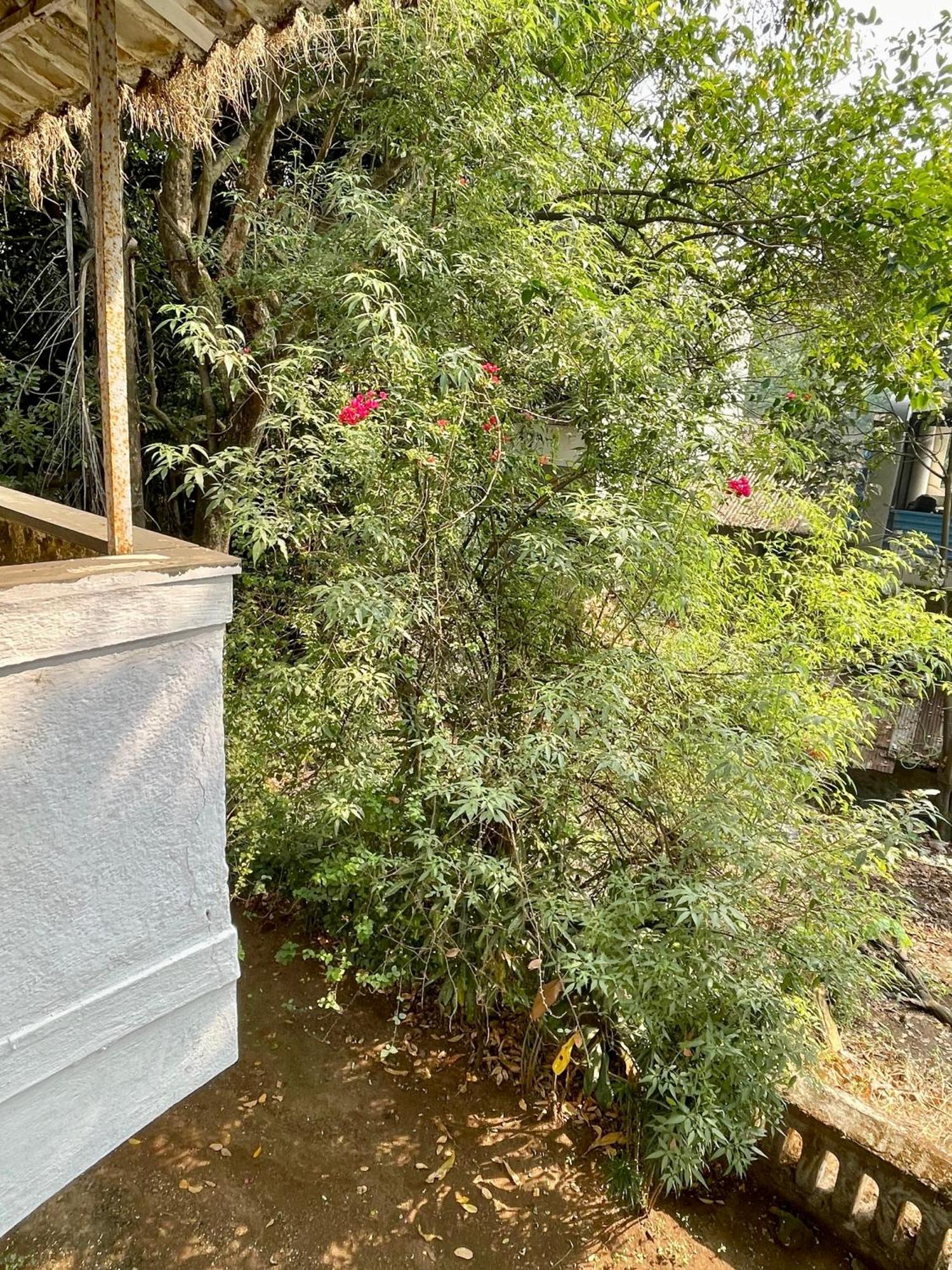The Imperial Heritage II 2 Minutes From Station And Market II Deluxe Ac Rooms II Lonavla Exterior foto