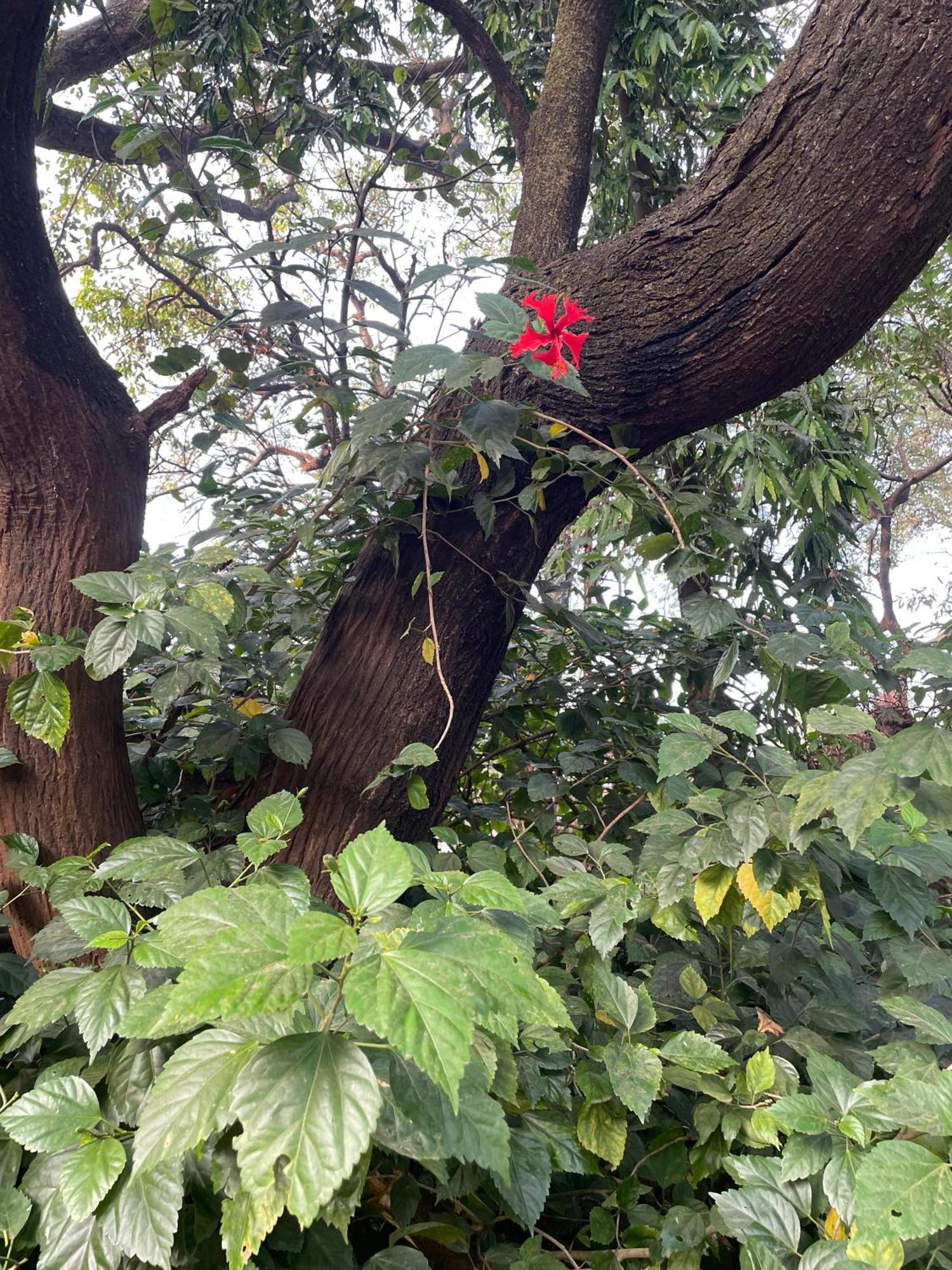 The Imperial Heritage II 2 Minutes From Station And Market II Deluxe Ac Rooms II Lonavla Exterior foto